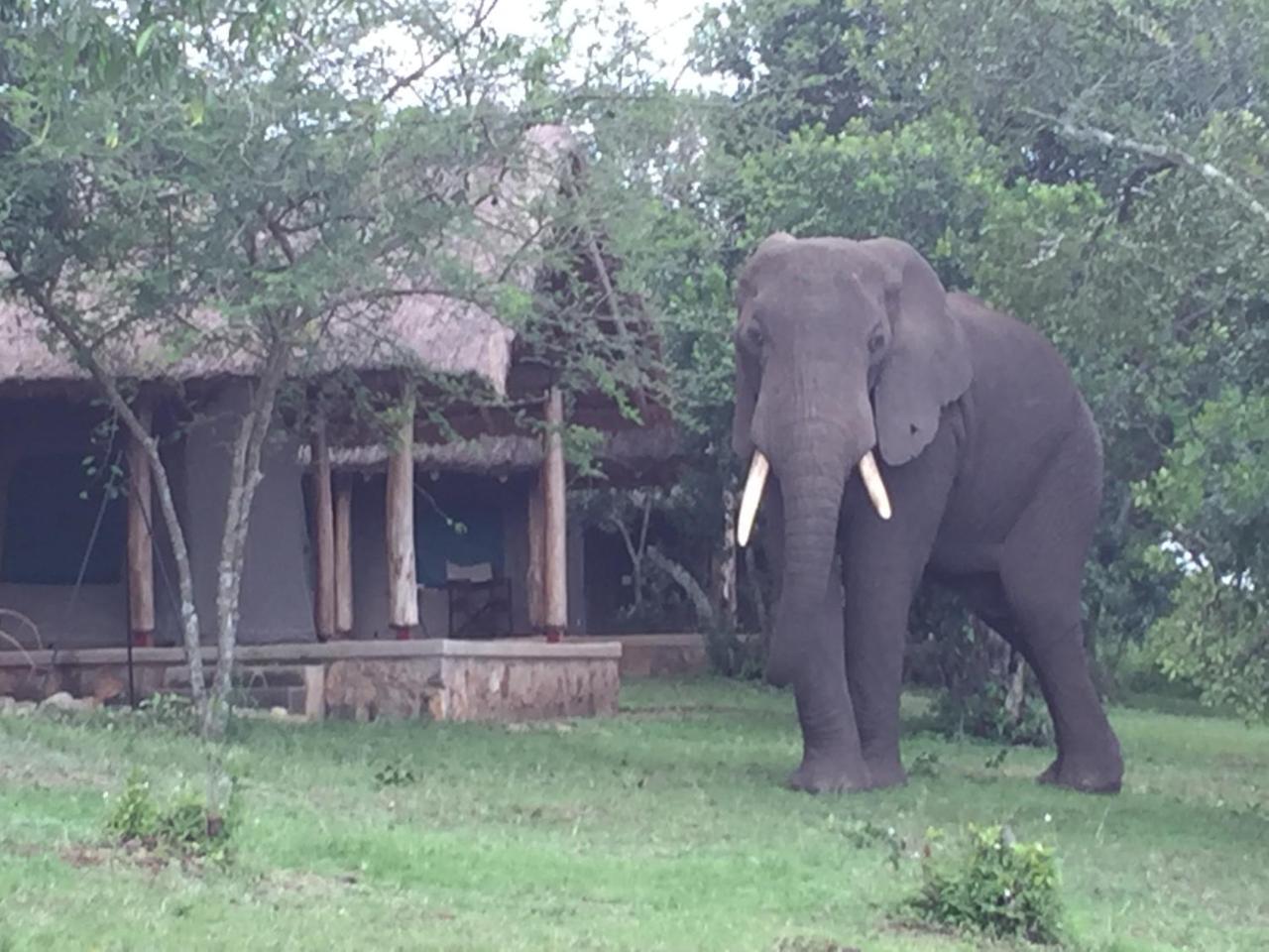 Queen Elizabeth Bush Lodge By Nature Lodges Ltd Katunguru 外观 照片